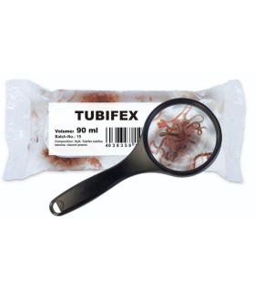 Tubifex Vivo