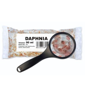 Daphnia pulex Viva