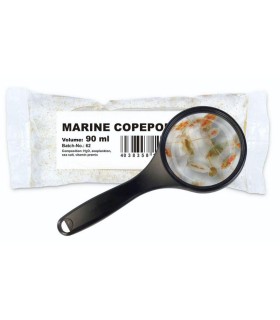 Copépodos Marinos Vivos