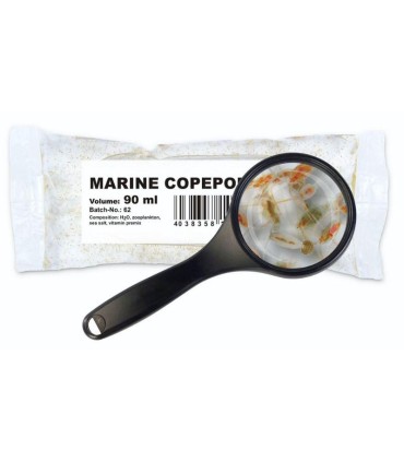 Copépodos Marinos Vivos