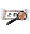 Artemia Salina Viva