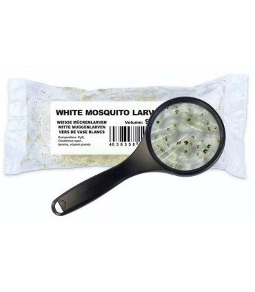 Larva Cristal Viva