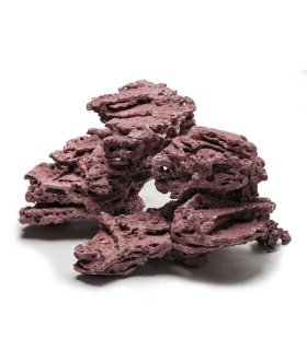 Marco Rocks CoralLine Rock Hybrid | Precio por Kilo