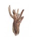 Drift Wood | Por Peso | Riverest