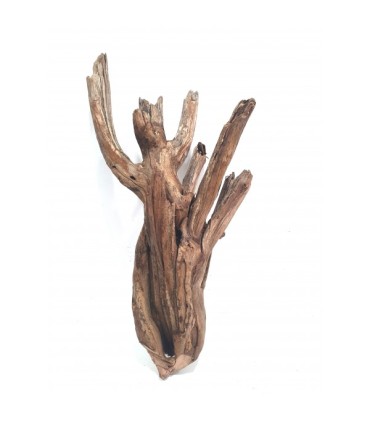 Drift Wood | Por Peso | Riverest