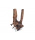 Drift Wood | Por Peso | Riverest