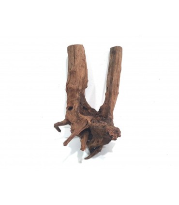 Drift Wood | Por Peso | Riverest