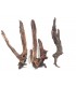 Drift Wood | Por Peso | Riverest