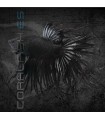 Betta Macho Corona Black 5-6 cm | Betta splendens