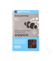 Artemia Congelada Blister 100 g |  Brineshrimp Gamma