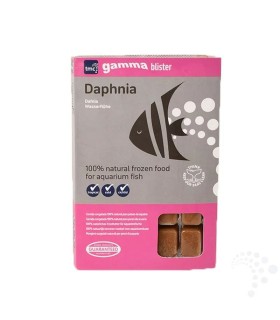 Daphnia Congelada Blister 100 g | Daphnia Gamma