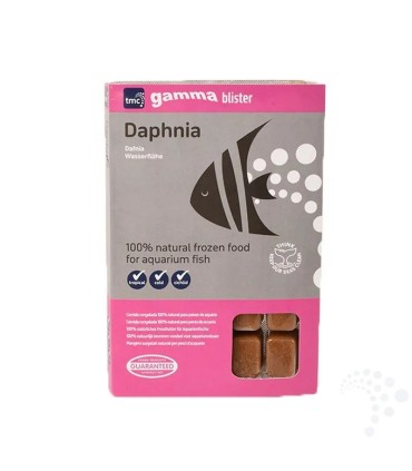 Daphnia Congelada Blister 100 g | Daphnia Gamma