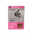 Daphnia Congelada Blister 100 g |  Daphnia Gamma