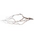 Perita Wood L | Pieza | Riverest