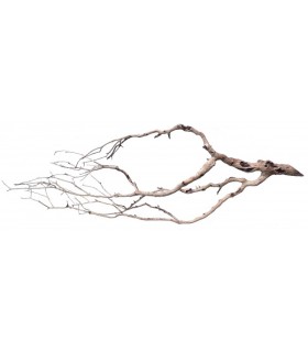 Perita Wood L | Pieza | Riverest