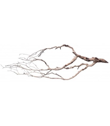 Perita Wood L | Pieza | Riverest