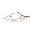 Perita Wood L | Pieza | Riverest