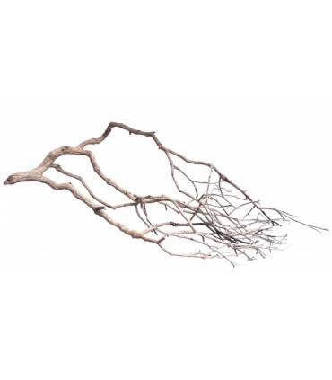 Perita Wood L | Pieza | Riverest