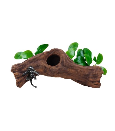 Cueva Cerámica Modelo B1 Aquavitro