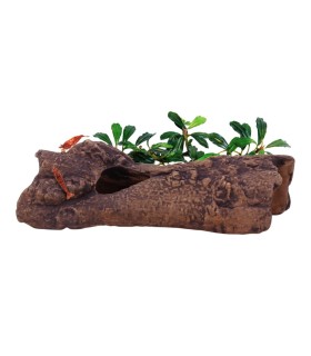 Cueva Cerámica Modelo L1 Aquavitro