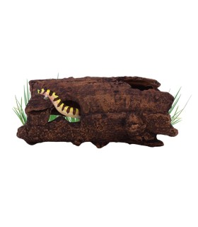 Cueva Cerámica Modelo L2 Aquavitro