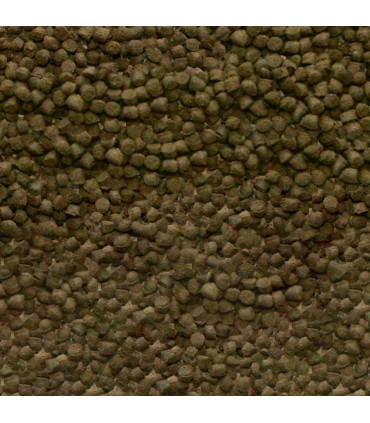 Viformo Pleco Tabs 100 ml | SERA