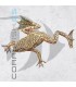 Rana Enana Africana | Hymenochirus spp