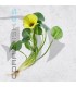 Hydrocleys nymphoides | Planta Flotante