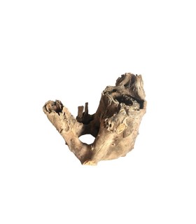 Tree Stump 15-20 cm