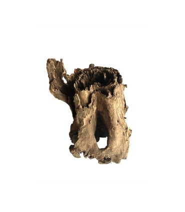 Tree Stump 15-20 cm