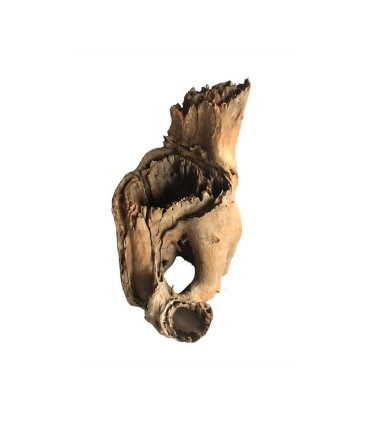 Tree Stump 21-30 cm