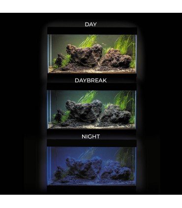 Acuario Optiset White 2.0