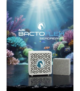 BactoFlex + BactoBox Seadreams