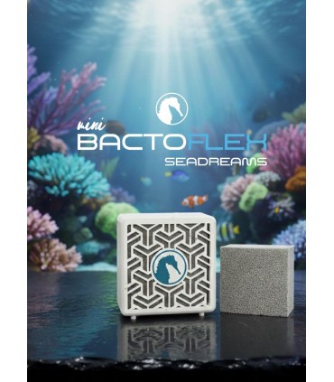 BactoFlex + BactoBox Seadreams