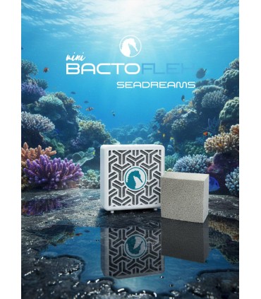 BactoFlex + BactoBox Seadreams