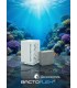 BactoFlex + BactoBox Seadreams
