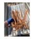 Spikeroot Wood 20-30 cm | Pieza | Riverest
