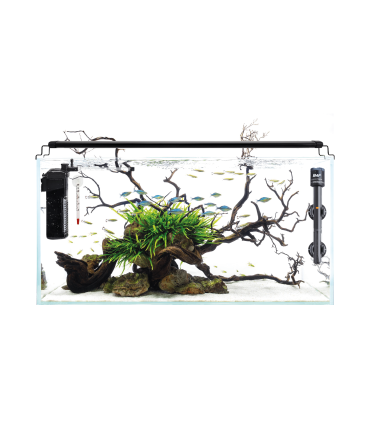 Kit Acuario Congo 34 L 45x25x30cm | B4F