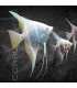Escalar Río Japura Albino 3-4 cm | Pterophyllum scalare