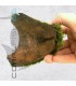 Hygrophila pinnatifida | En Medio Coco con 3 Entradas