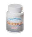 Huevos de Artemia Siberiana 90% 50g Koral