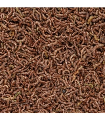 Blood Worms Liofilizado 100 ml | B4F