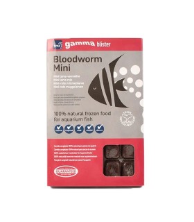 Larva Roja Mini Congelada Blister 100g | Concentrated Bloodworm