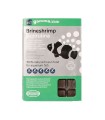 Artemia con Espirulina Congelada Blister 100 g |  Spirulina Brineshrimp Gamma