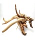 Spider Gold Wood L | Por Pieza | Riverest