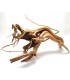 Spider Gold Wood L | Por Pieza | Riverest