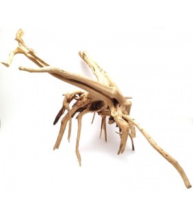 Spider Gold Wood L | Por Pieza | Riverest