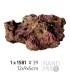 EcoReef Rock 39 12x9x5cm | TMC