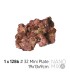 EcoReef Rock Mini Plate 32 19x13x9cm | TMC