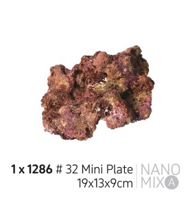EcoReef Rock Mini Plate 32 19x13x9cm | TMC